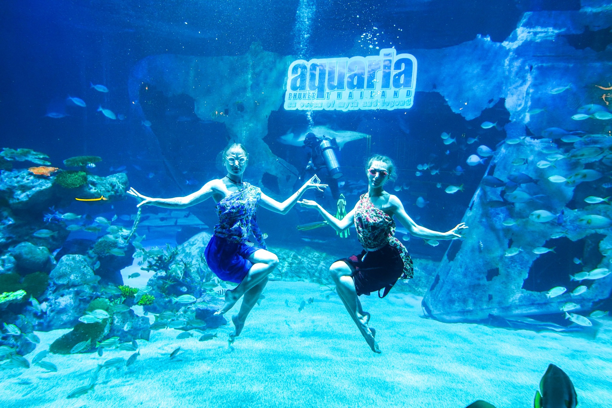 Aquaria Phuket Aquarium