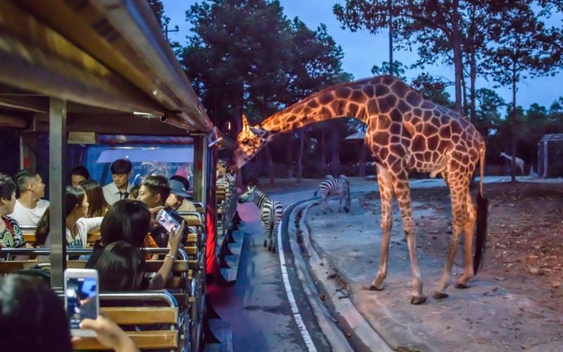 Chiang Mai Night Safari