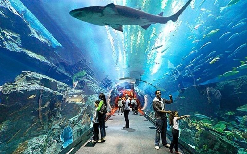 Underwater World Pattaya