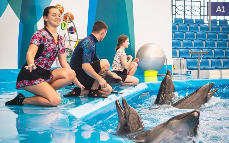 [Foreigner] Dolphinarium Pattaya