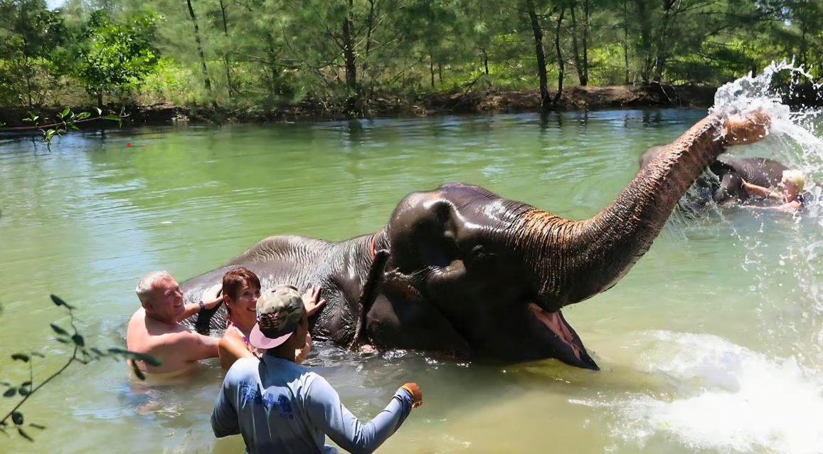 Bamboo & Water Rafting with Elephant Bathing from Phuket