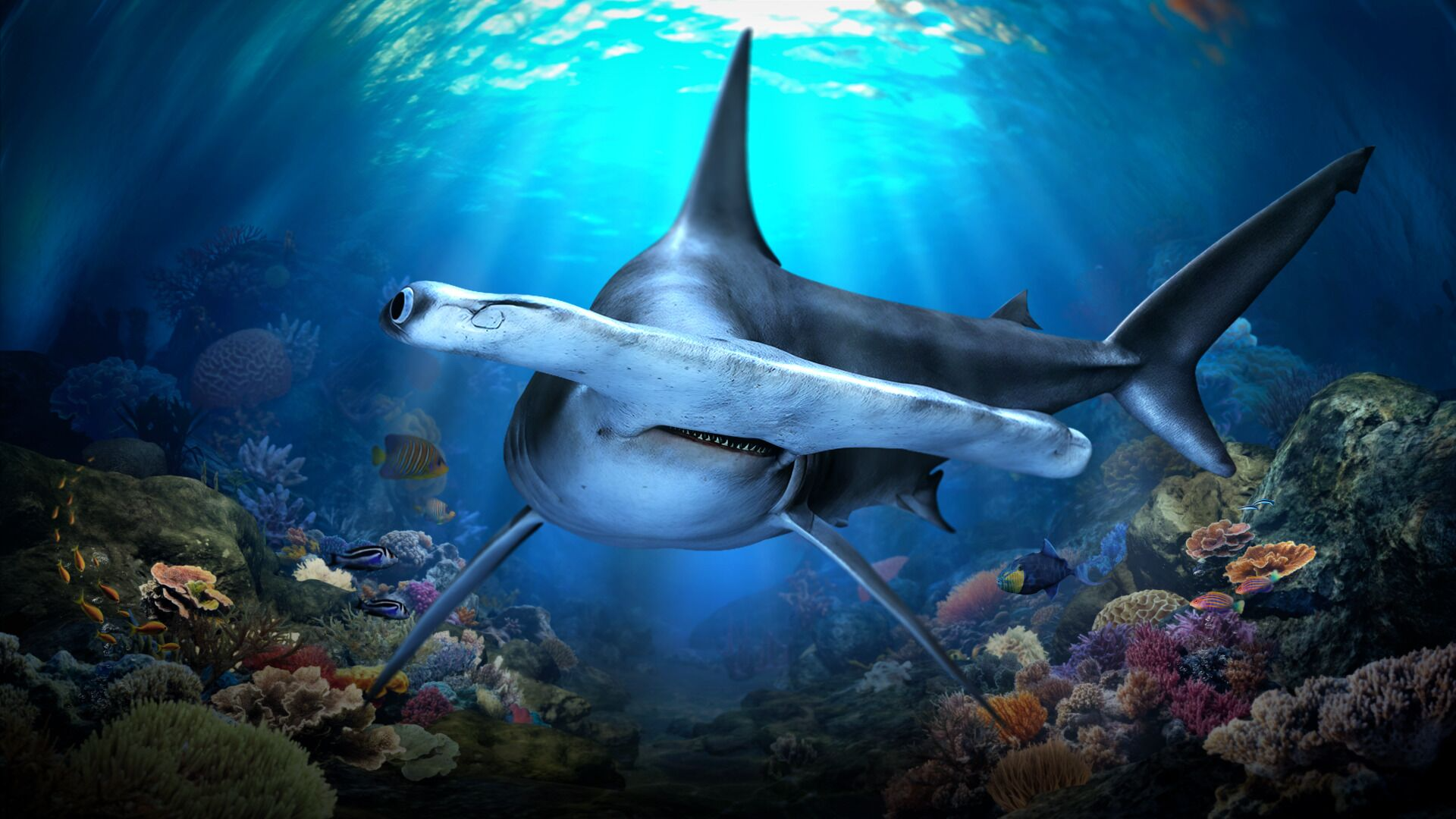 Singapore Oceanarium